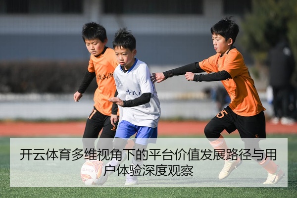 开云体育多维视角下的平台价值发展路径与用户体验深度观察